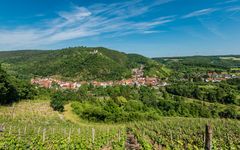 Altenbamberg mit Altenbaumburg 3