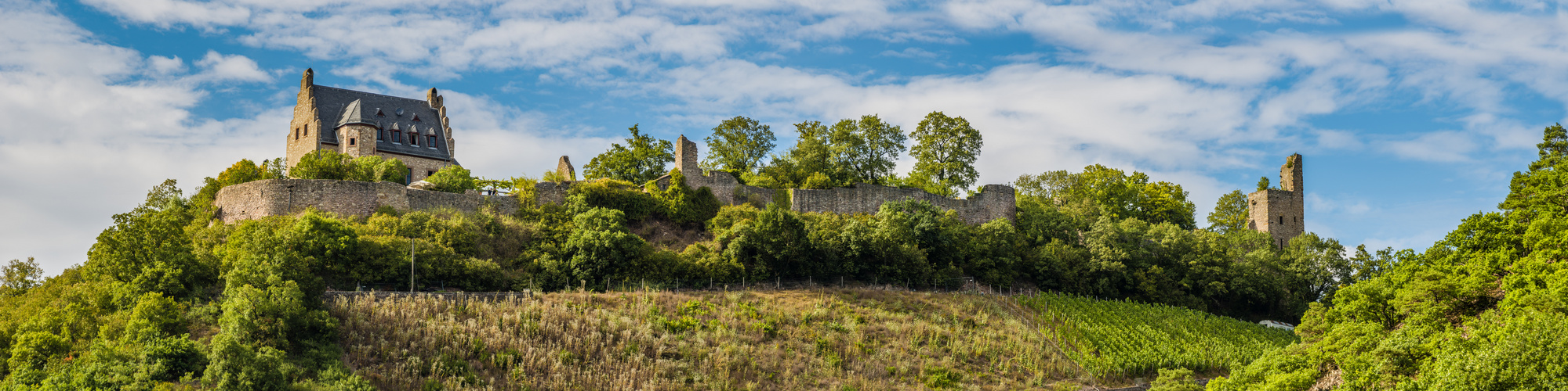 Altenbaumburg (10)