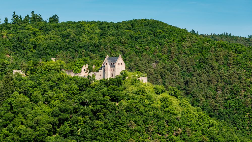 Altenbaumburg bei Altenbamberg 31