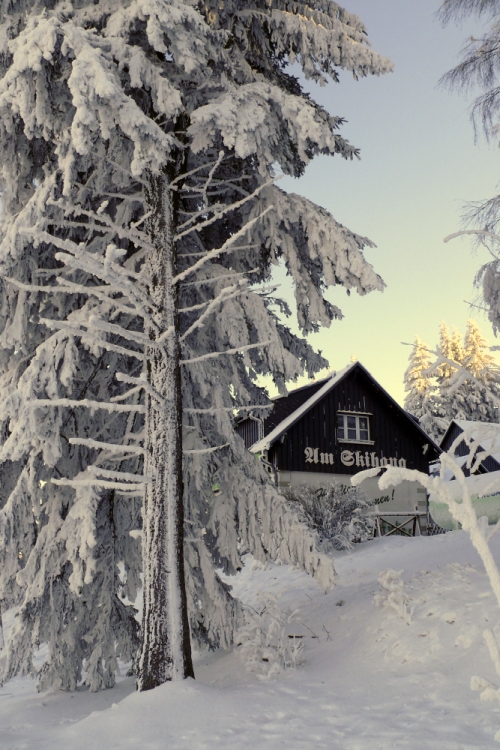 Altenberg im Ost - Erzgebirge