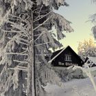 Altenberg im Ost - Erzgebirge