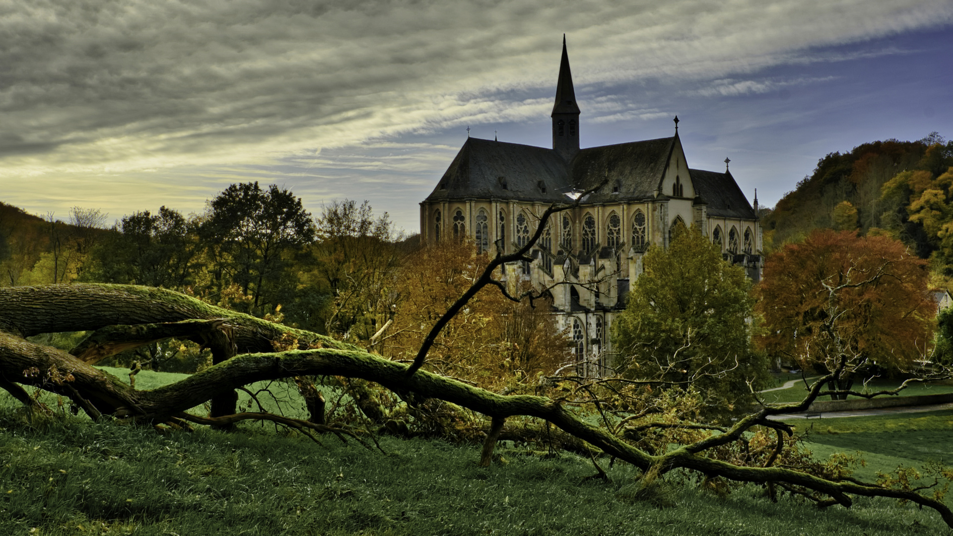 Altenberger Dom