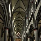 Altenberger Dom ....