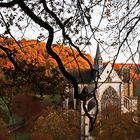 Altenberger Dom aus anderer Perspektive