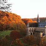 Altenberger Dom in herbstlicher Umgebung