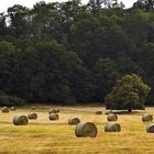 Altenbrak im Harz