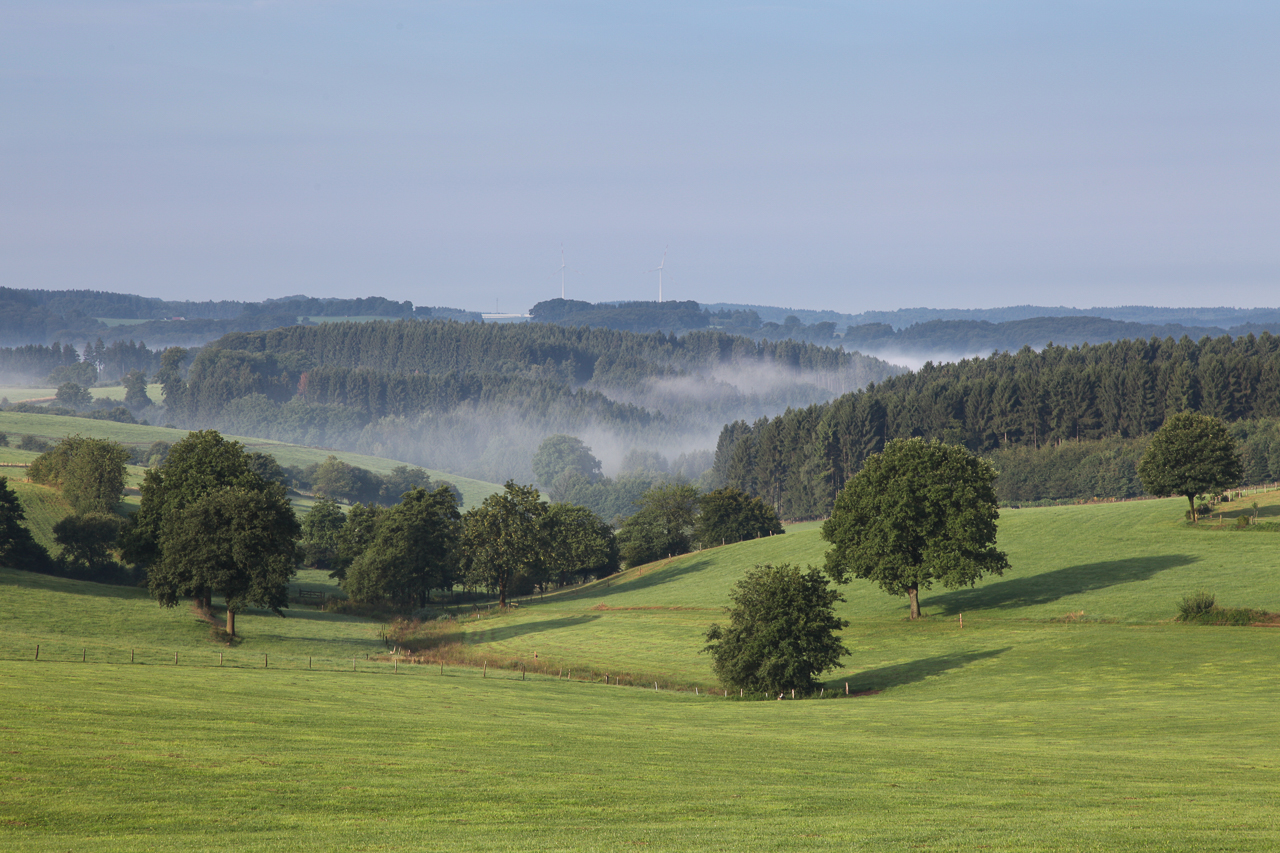 Altenbreckerfeld