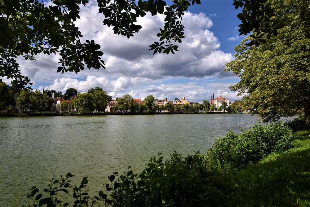 Altenburg Großer Teich Foto & Bild dokumentation, sommer, natur