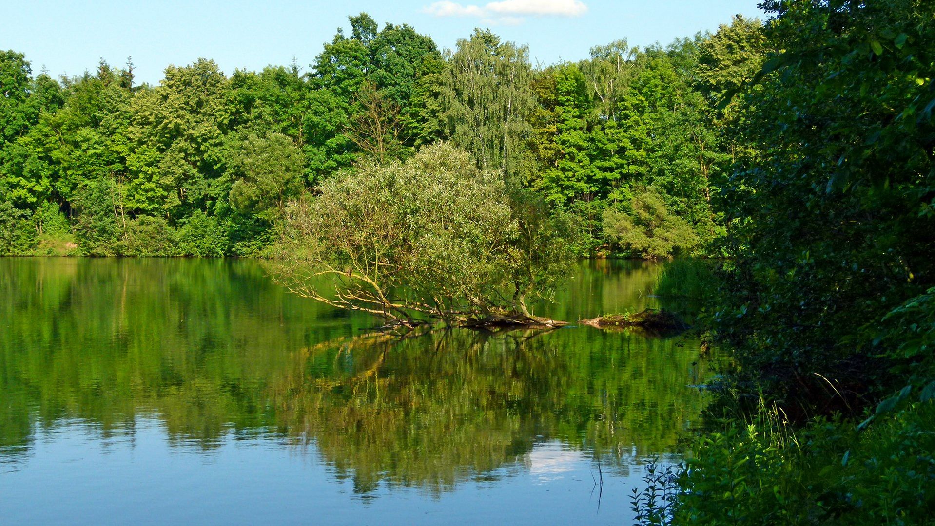 Altenburger Seen Juni 2012 02