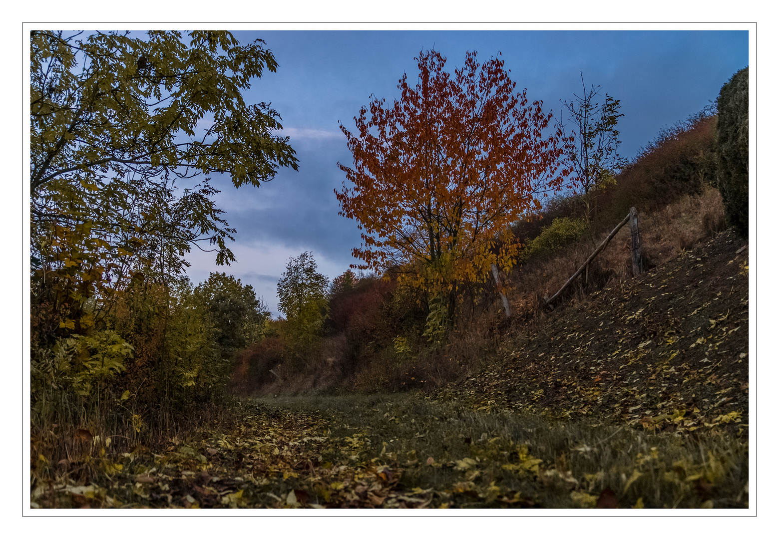 Altenlotheim Foto & Bild landschaften & parks, natur, herbst Bilder