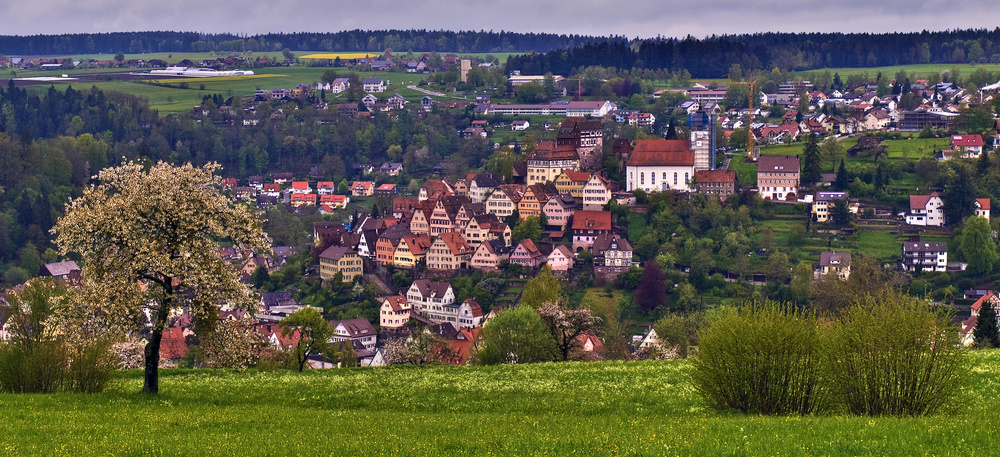 Altensteig