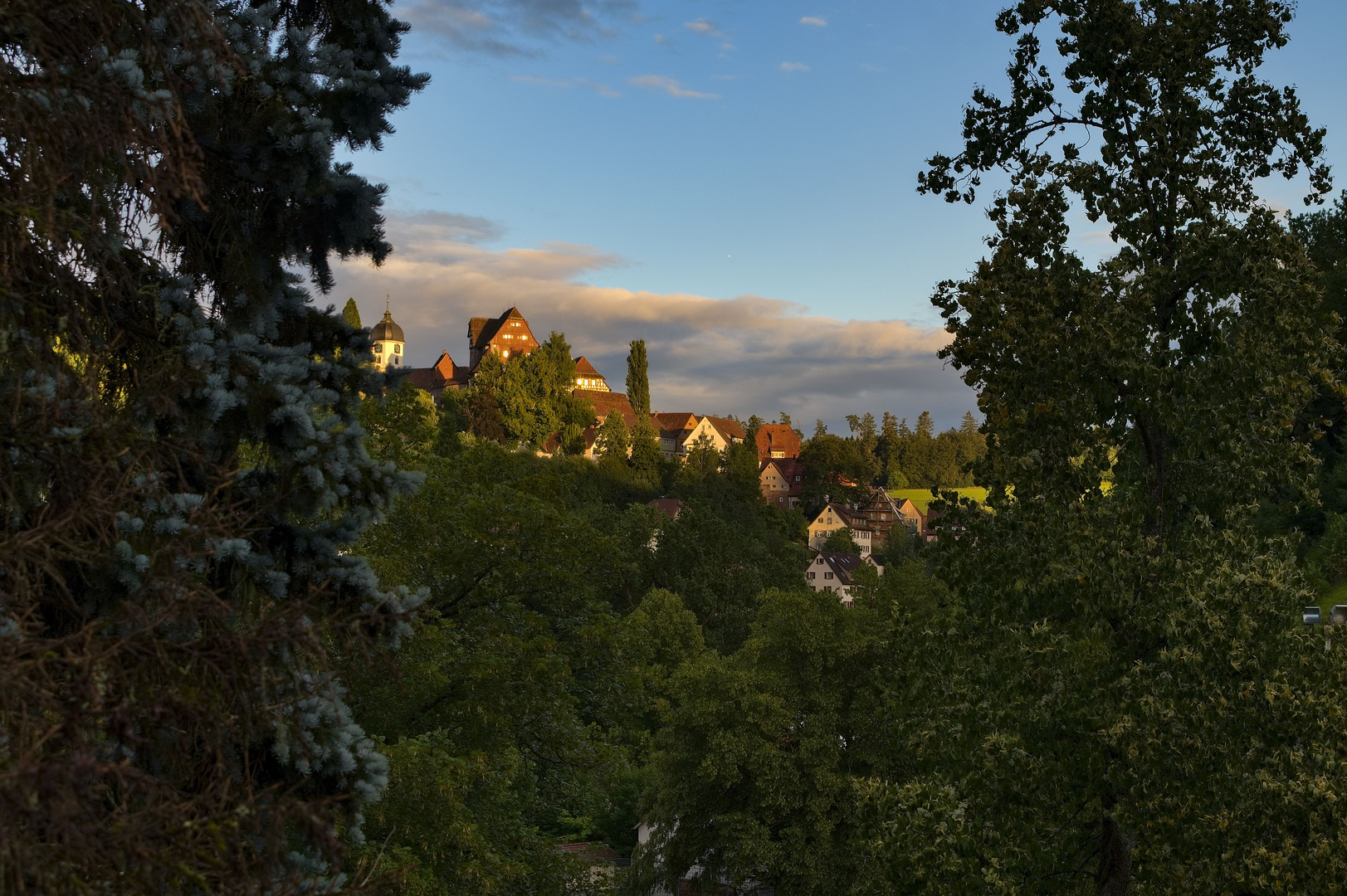 Altensteig Abendlicht