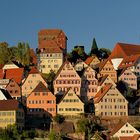 Altensteig, Schwarzwald