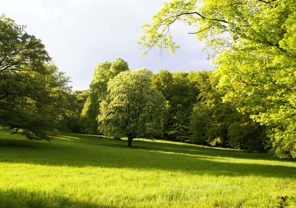 Altensteiner Park bei Bad Liebenstein