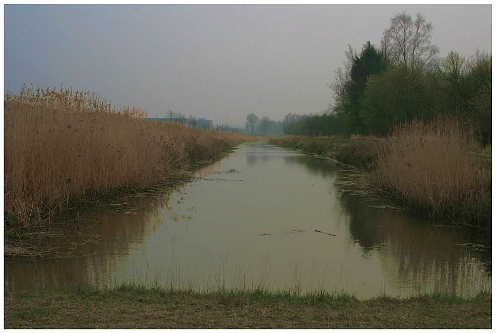 Altenwerder Braak