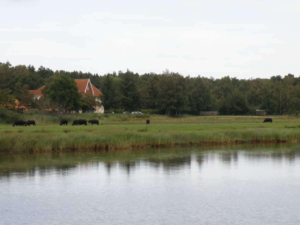 Alter Bahnhof in Prerow