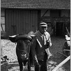 Alter Bauer mit seiner Kuh
