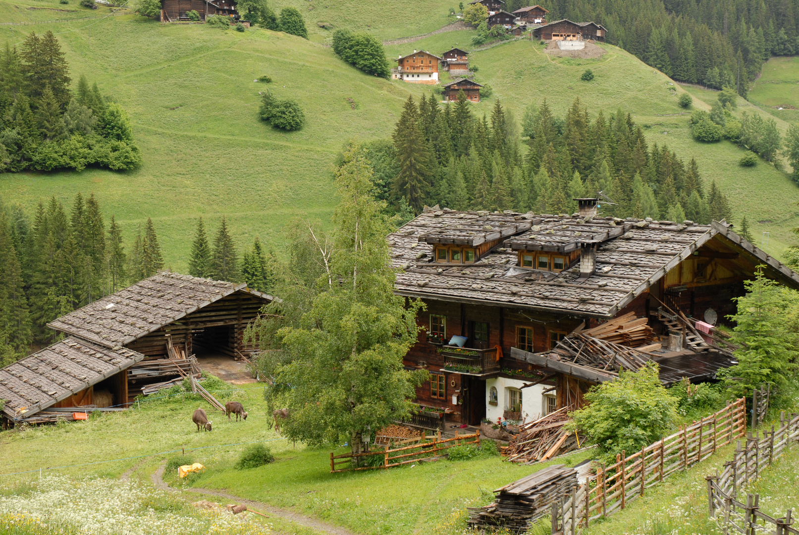 Alter Bauernhof Foto & Bild | landschaft, lebensräume, natur Bilder auf