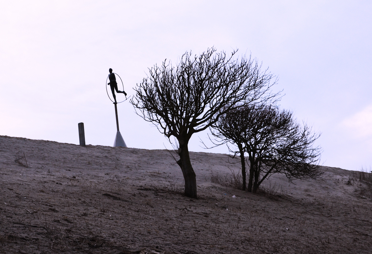 Alter Baum