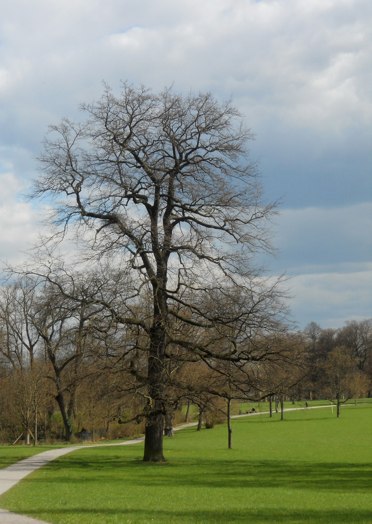 Alter Baum