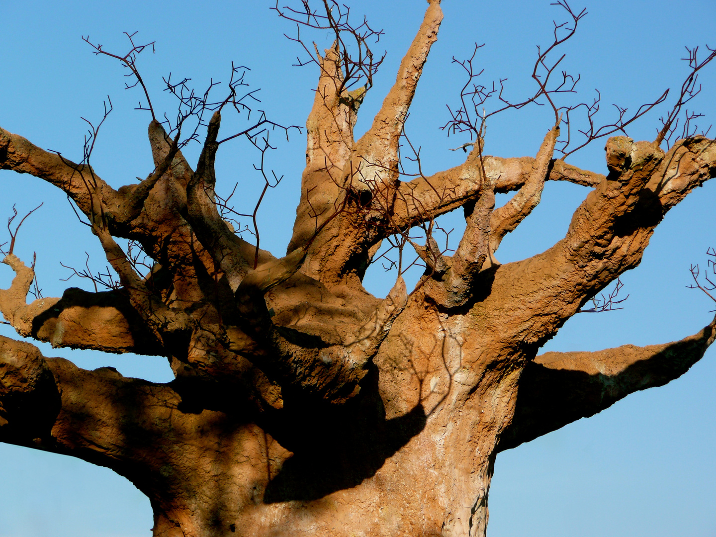 Alter Baum