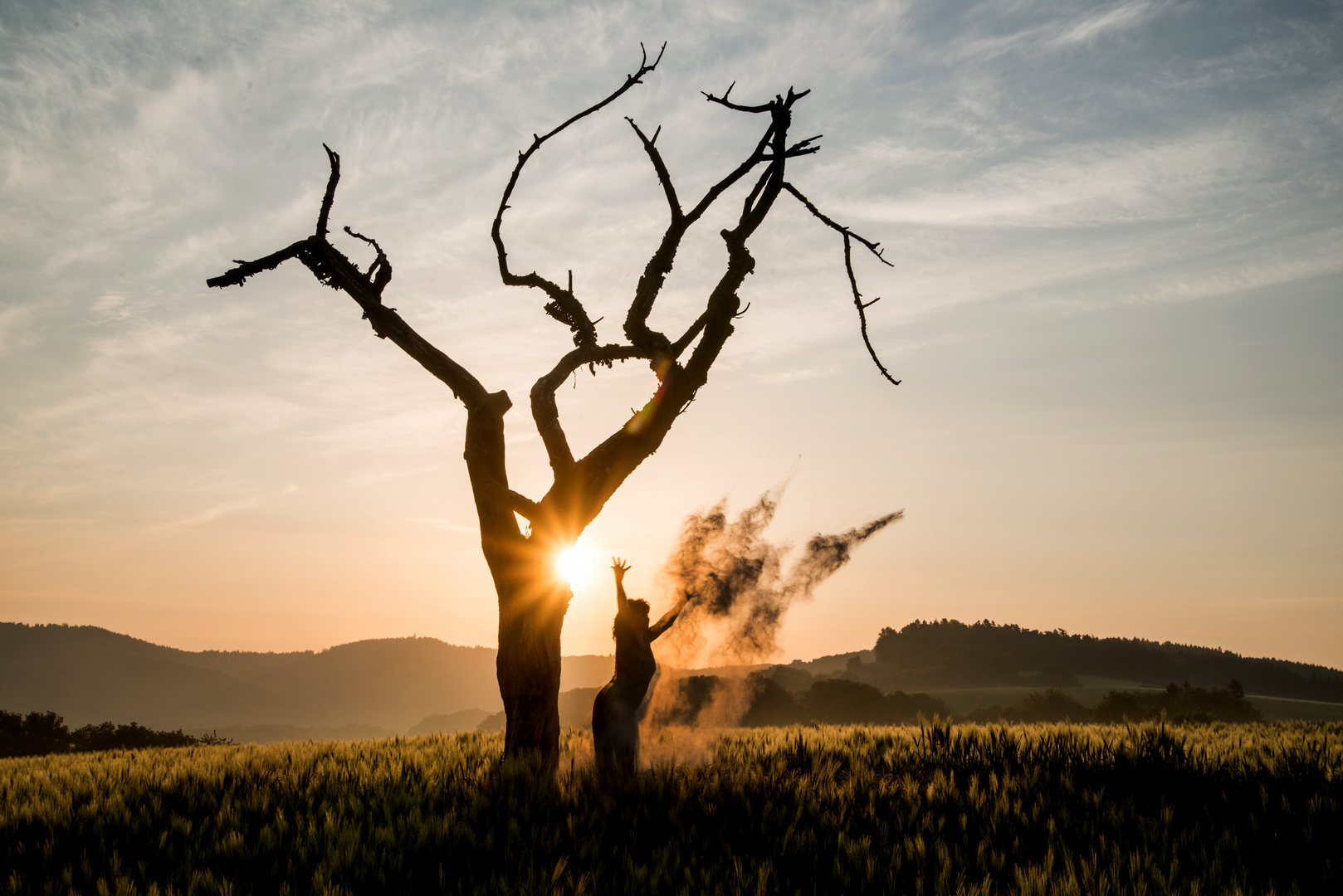 Alter Baum