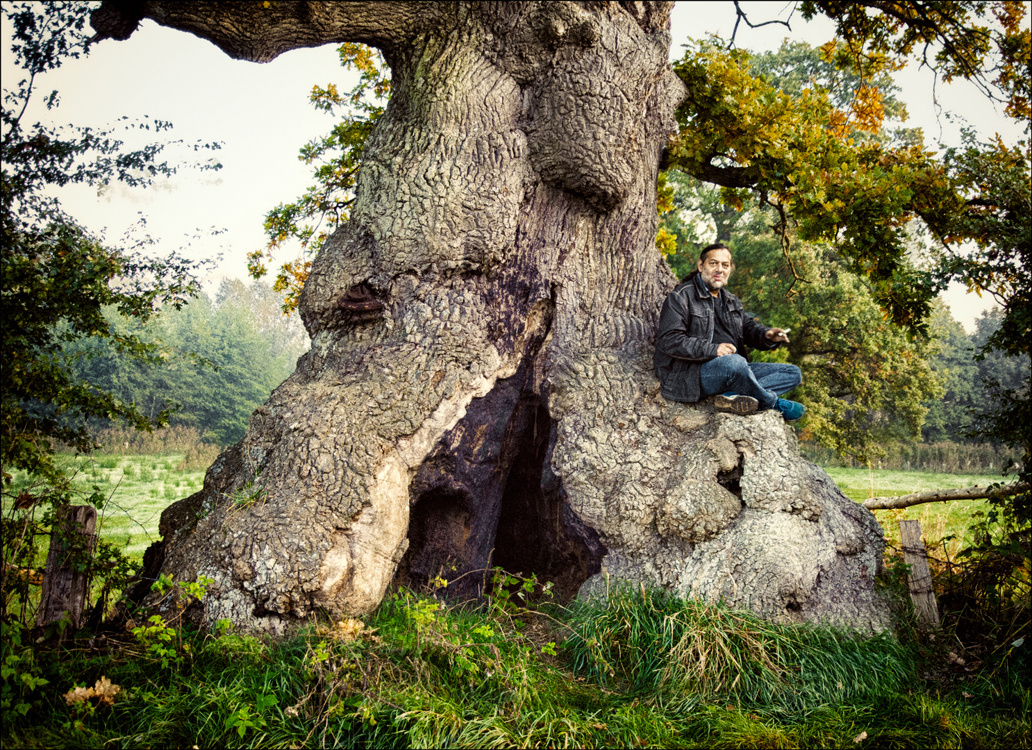 Alter Baum und alter Freund