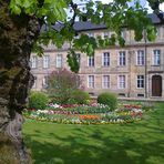 Alter Baum vorm neuen Schloss in Bayreuth am 2.5.2015