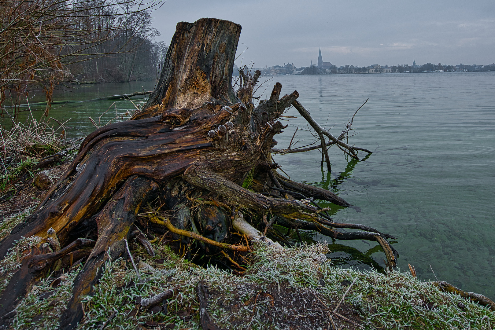 alter Baumstumpf am Schweriner See