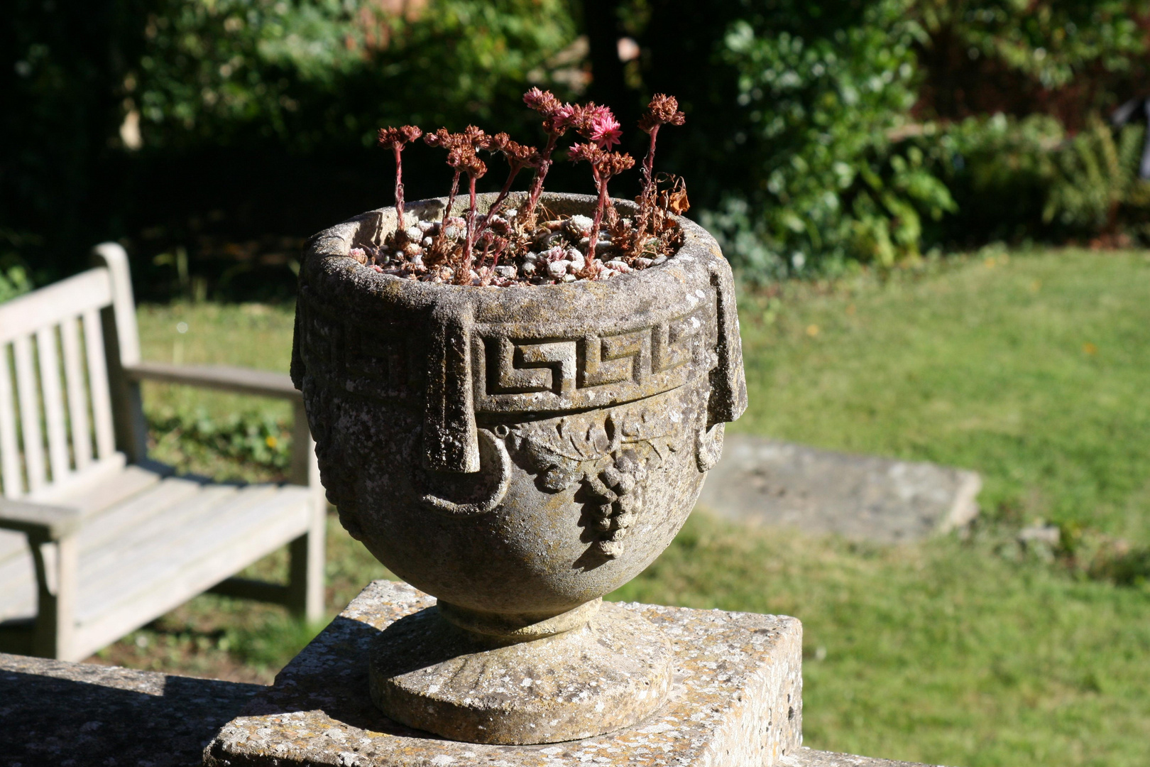 Alter Blumentopf in englischem Garten