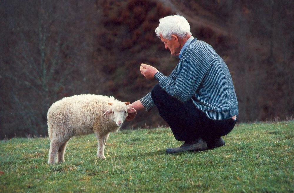 alter Bosnier mit Schaf