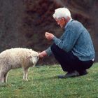 alter Bosnier mit Schaf
