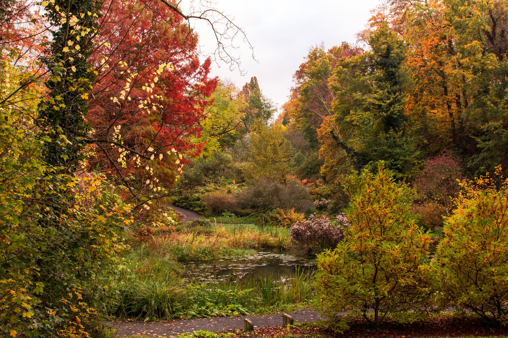 Alter Botanische Garten Gottingen Foto Bild Landschaft