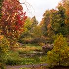 "Alter Botanische Garten" - Göttingen