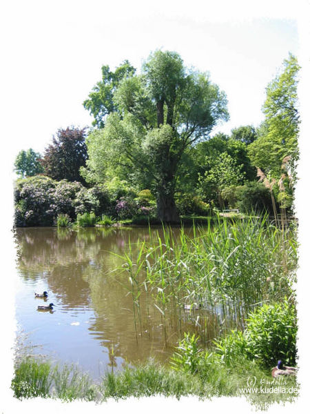 Alter botanischer Garten