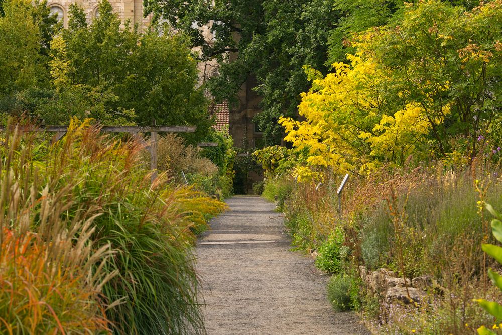 Alter botanischer Garten Göttingen Foto & Bild deutschland, europe