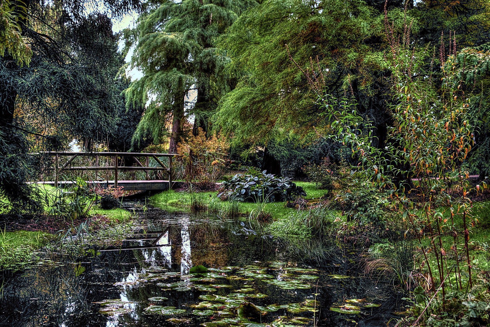 Alter botanischer Garten in Kiel No1 Foto & Bild