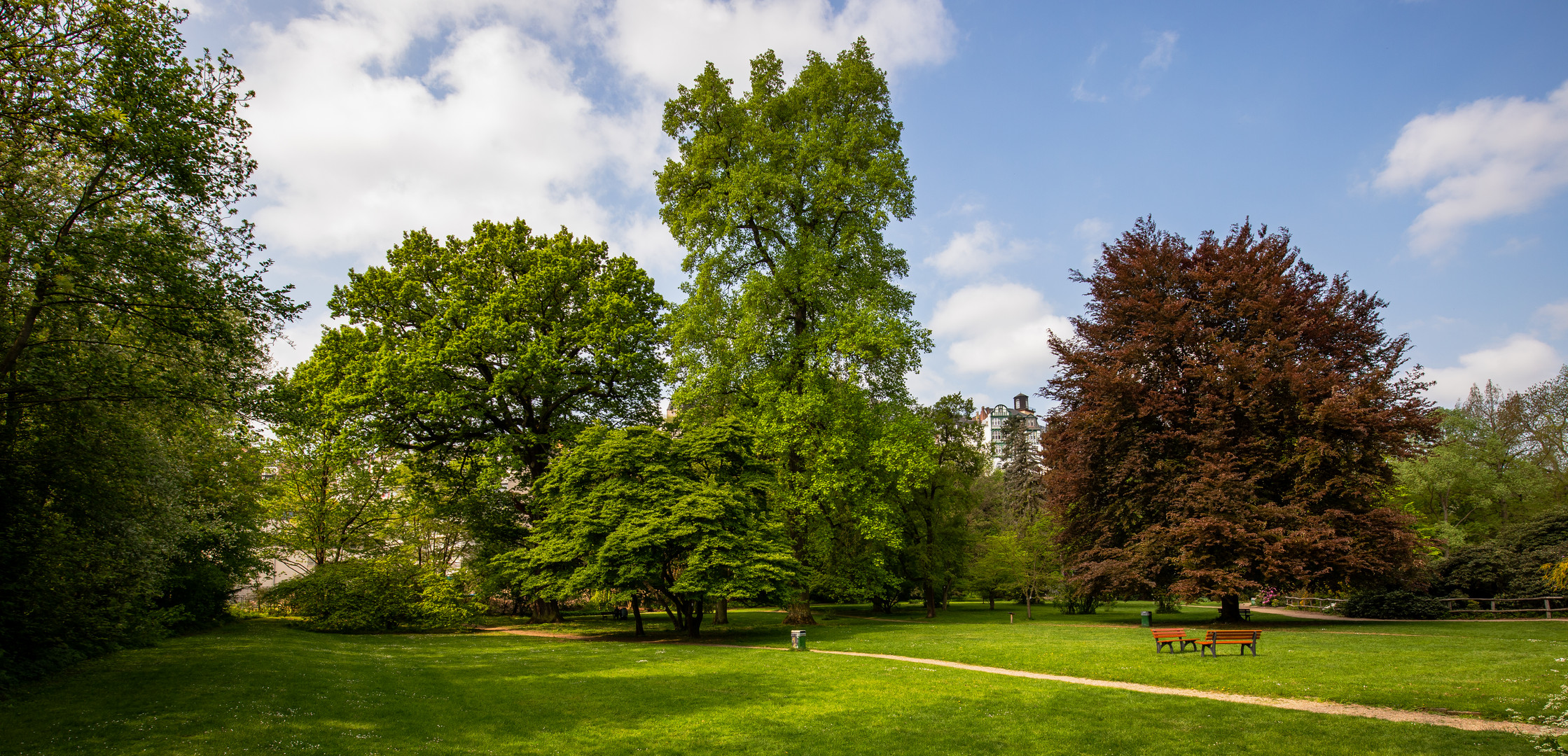 Alter Botanischer Garten in Marburg Foto & Bild bäume, frühling