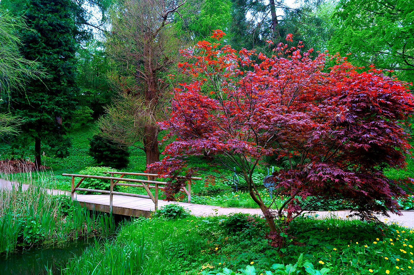 Alter Garten / Alter_Garten_Parkplatz_Schwerin_3