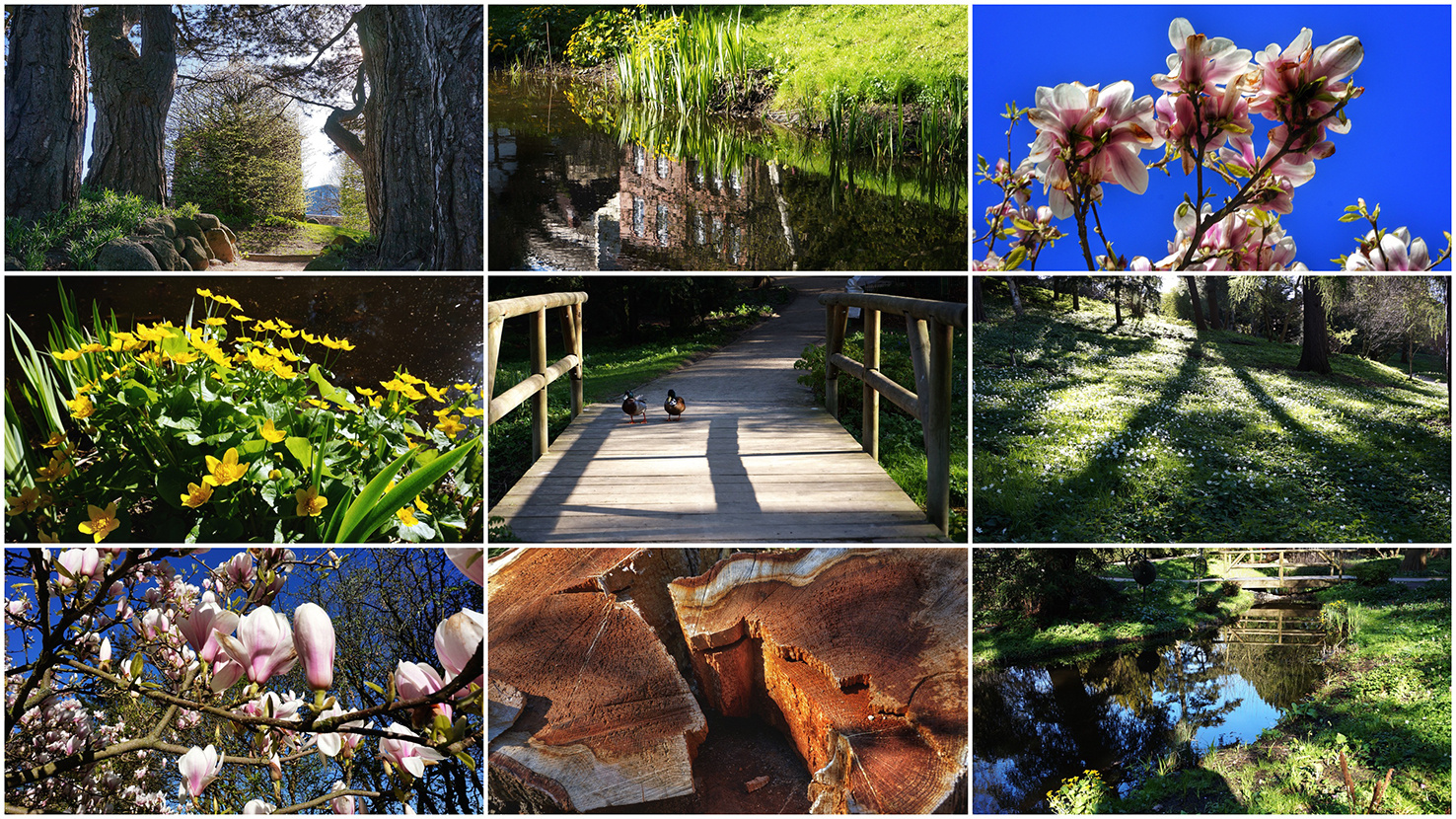 Alter Botanischer Garten Kiel