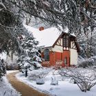 Alter Botanischer Garten Kiel Dezember 2010