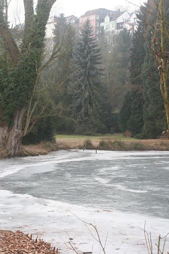 Alter Botanischer Garten Marburg