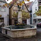 alter Brunnen in Reutlingen