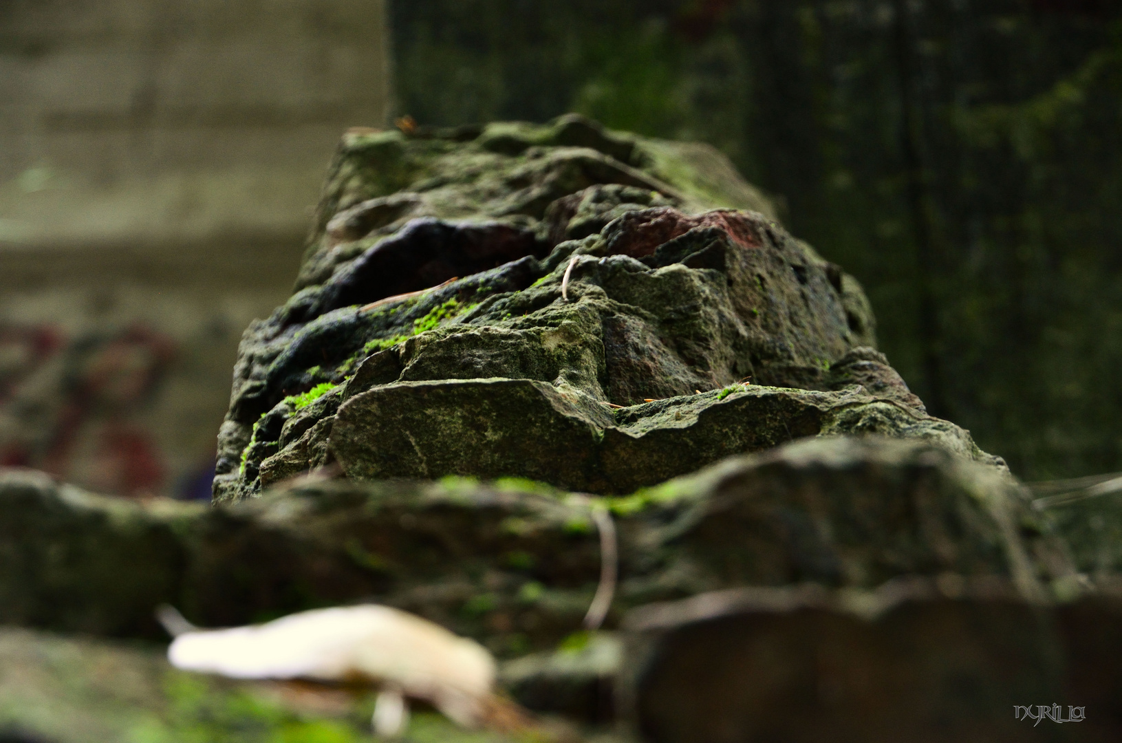 alter Bunkeranlagen im Wald