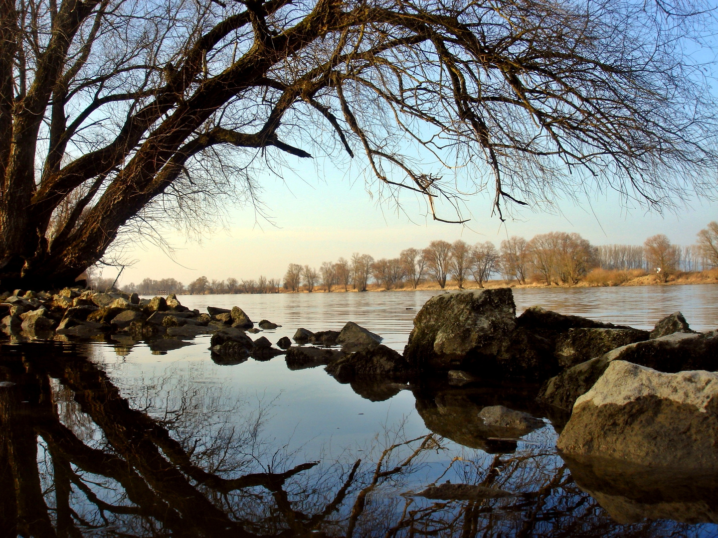 Alter Donauarm bei Straubing