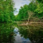 Alter Eiderkanal bei Altenholz