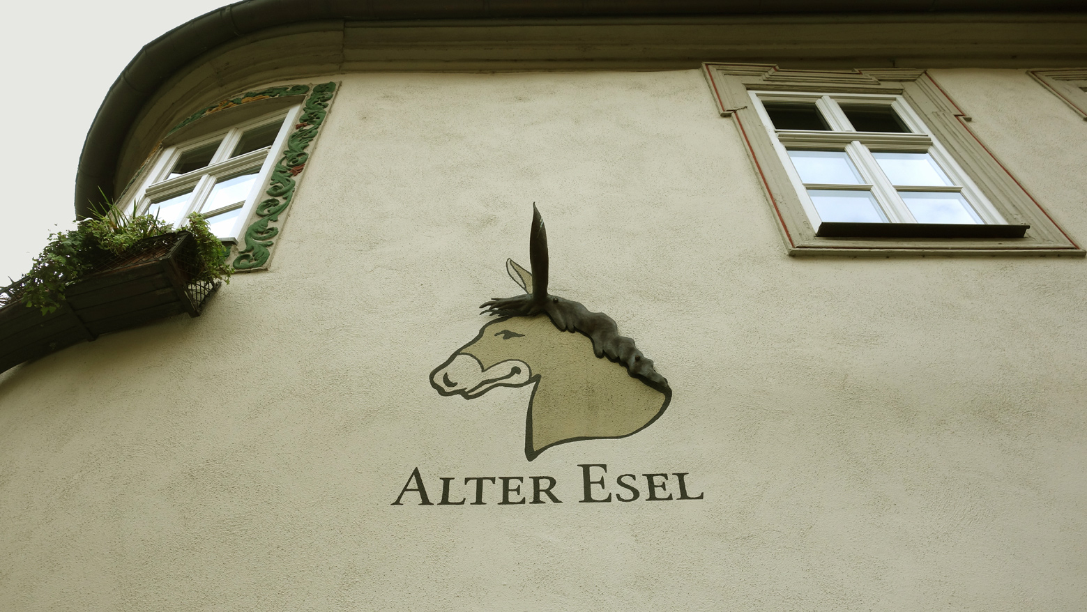 Alter-Esel