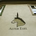 Alter-Esel