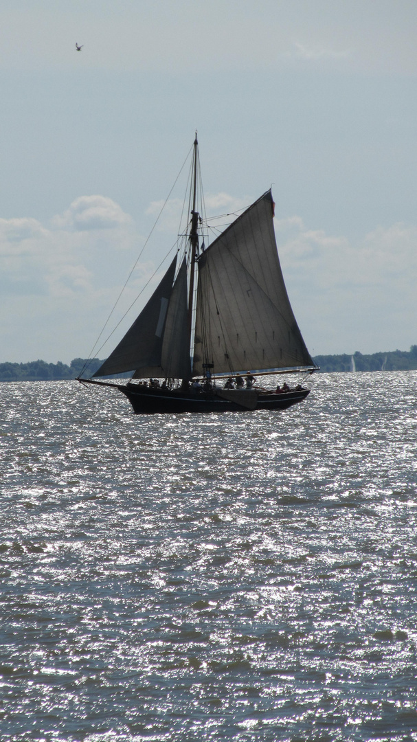 Alter Ewer vor der Elbinsel Krautsand ...... Fahrtrichtung Cuxhaven