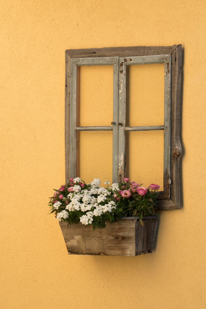 Alter Fensterrahmen mit Blumenkiste